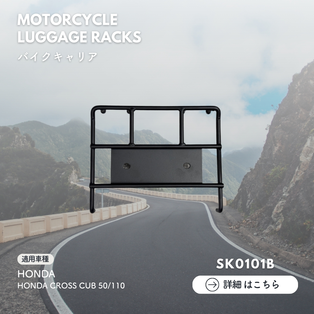 SK0101B
